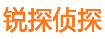 山阳市私家侦探